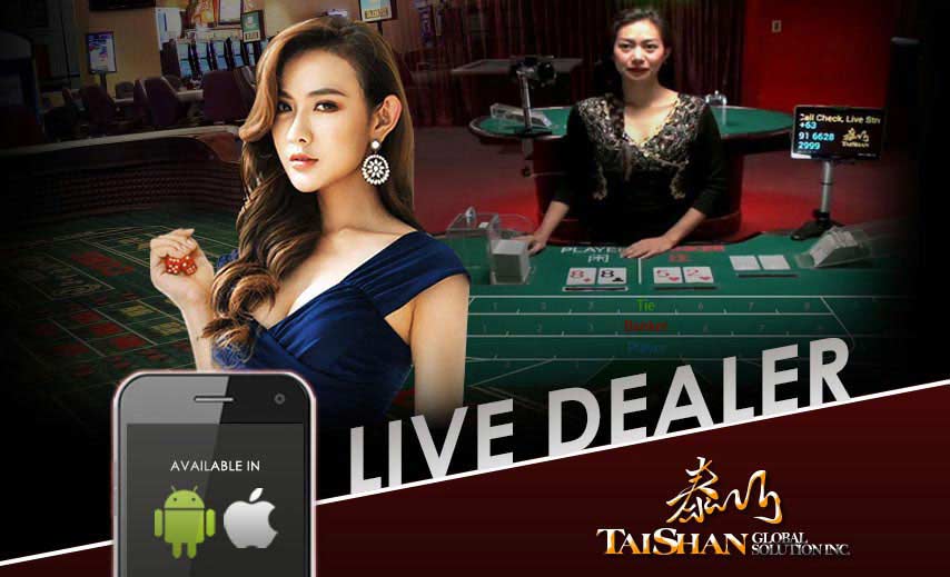 타이산게이밍 oncasinosite.info